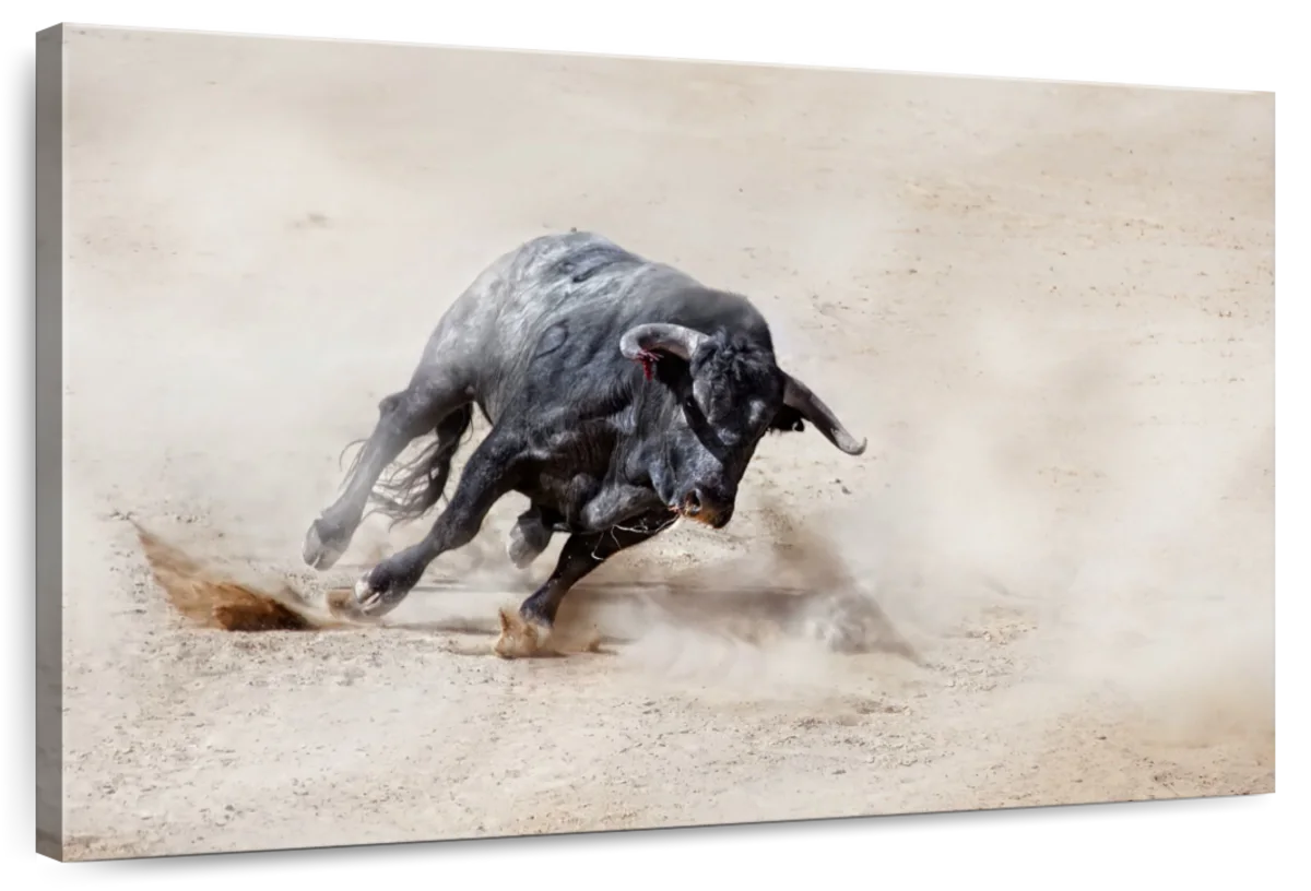 Charging Bull Wall Art