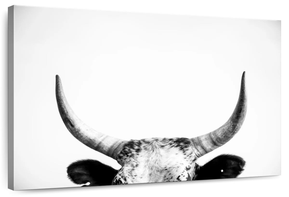 Cow Horns Wall Art