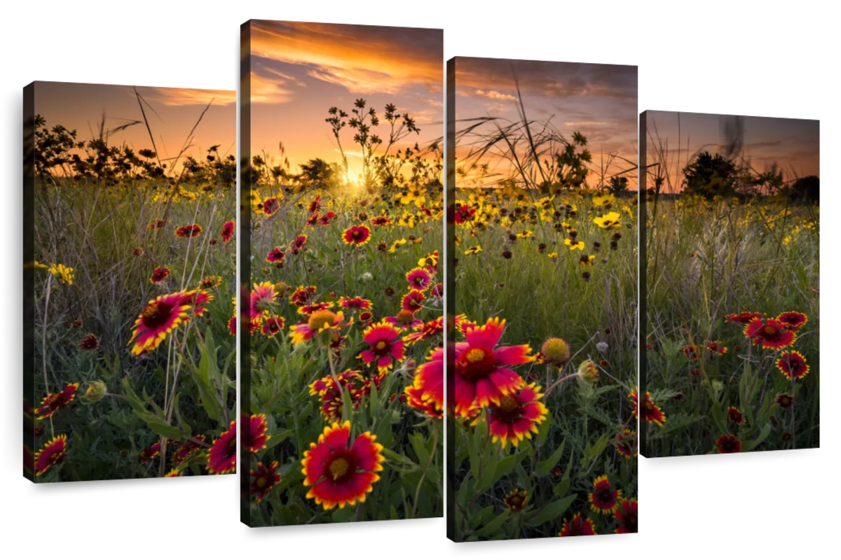 Dawn At Flower Field Wall Art