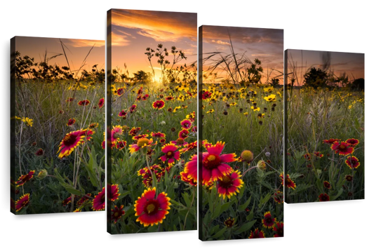 Dawn At Flower Field Wall Art