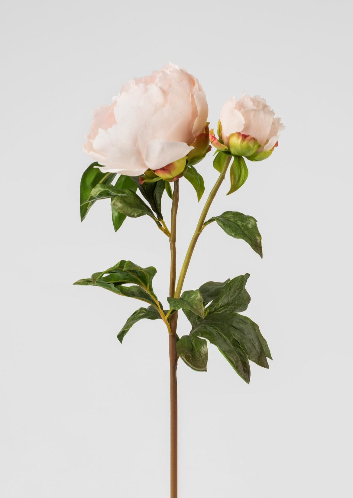 Real Touch Fake Flowers Blush Peony - 27"