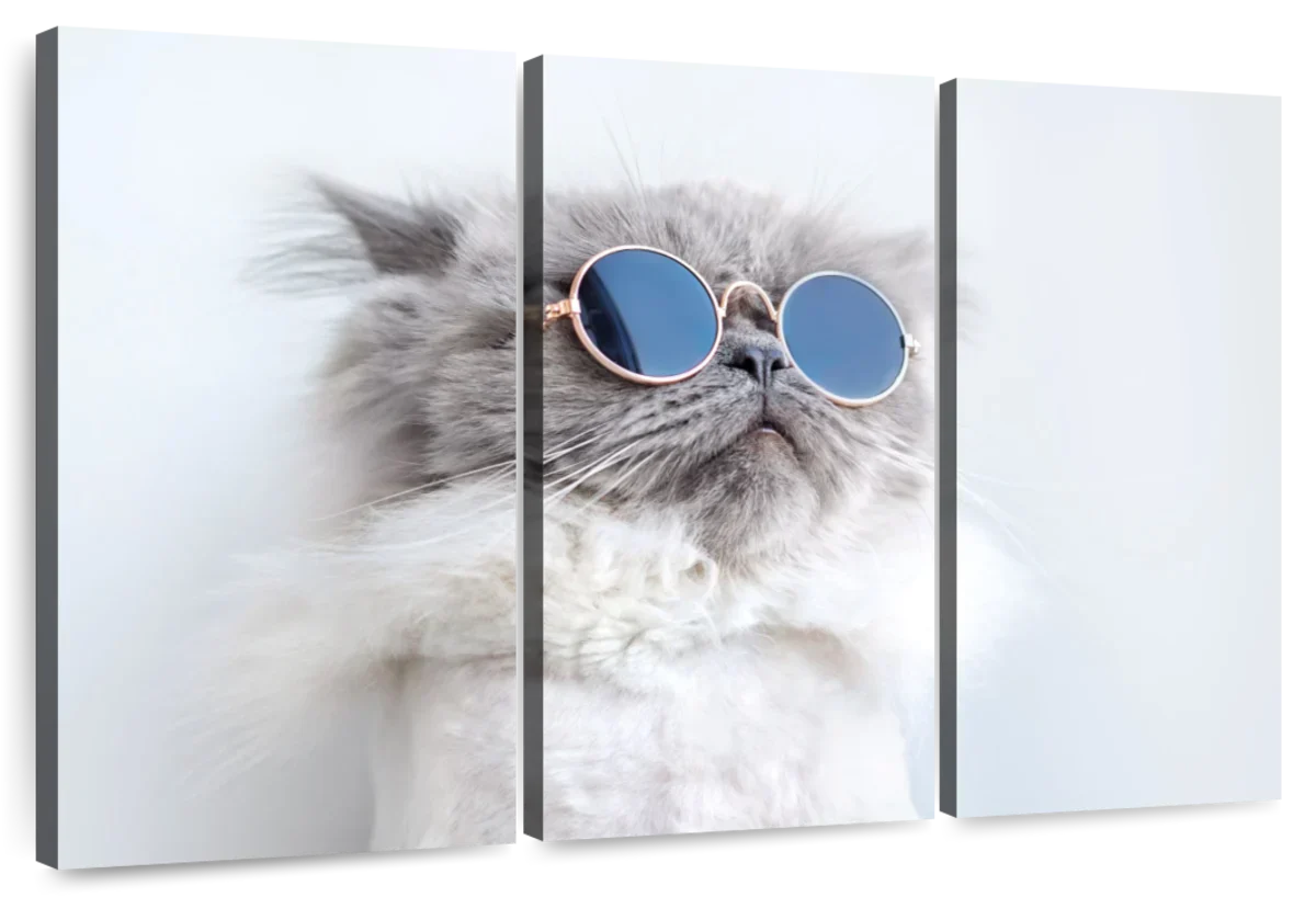 Cool Cat Wall Art