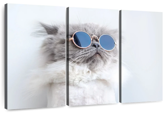 Cool Cat Wall Art