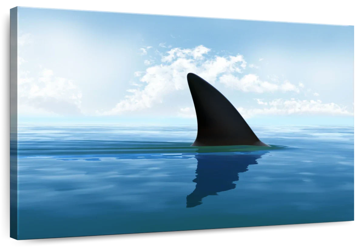 Shark Fin Wall Art