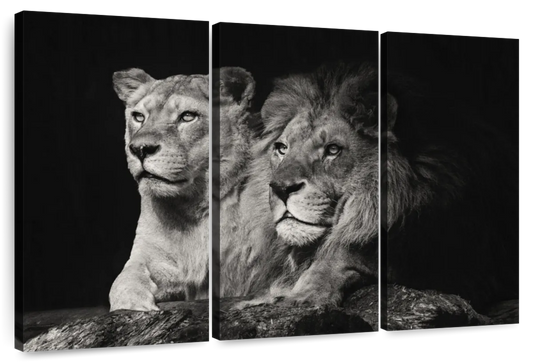 Lion And Lioness Mates Wall Art