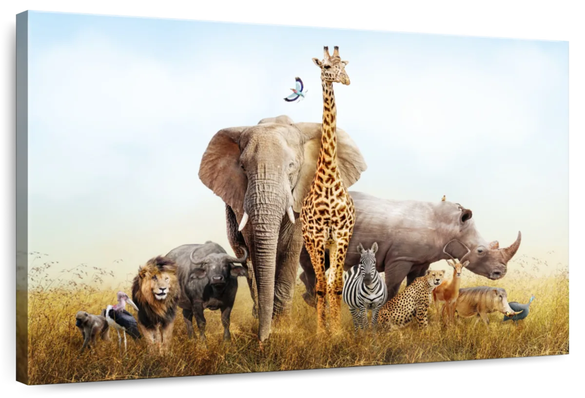 Kenyan Safari Animals Wall Art