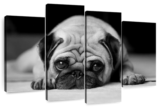 Sad Pug Wall Art