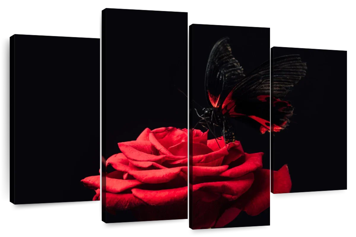 Butterfly Kissing The Rose Wall Art