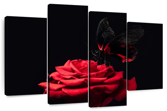 Butterfly Kissing The Rose Wall Art