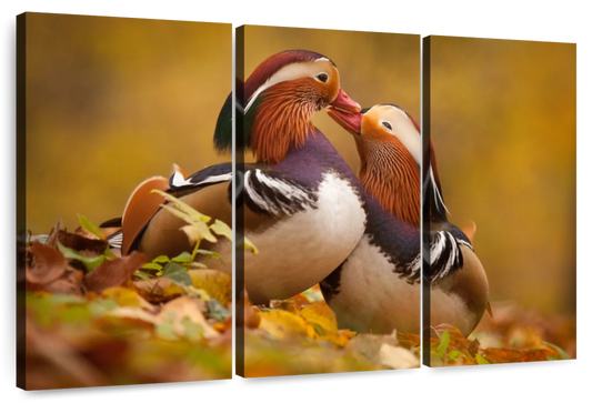 Loving Mandarin Ducks Wall Art