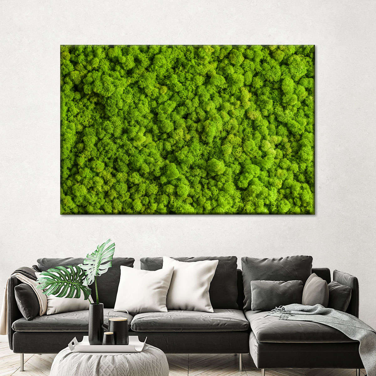 Green Reindeer Moss Wall Art