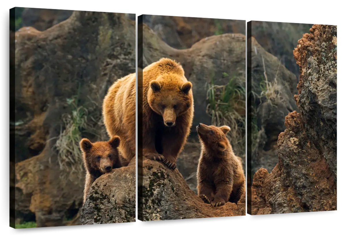 Bear And Cubs Wall Art