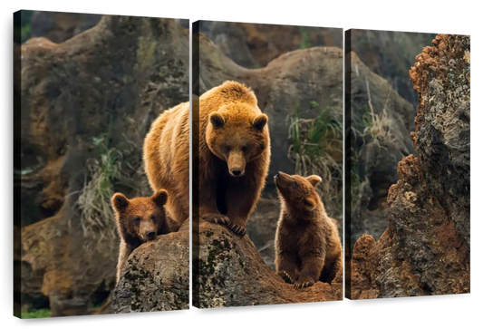 Bear And Cubs Wall Art