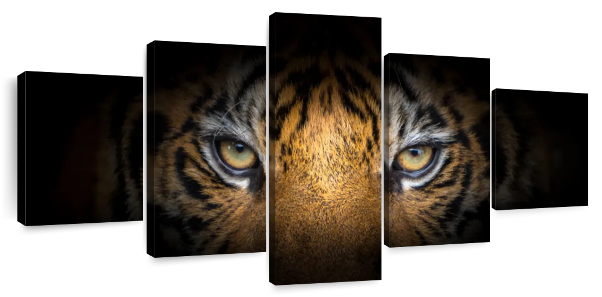 Fierce Eyes Tiger Wall Art
