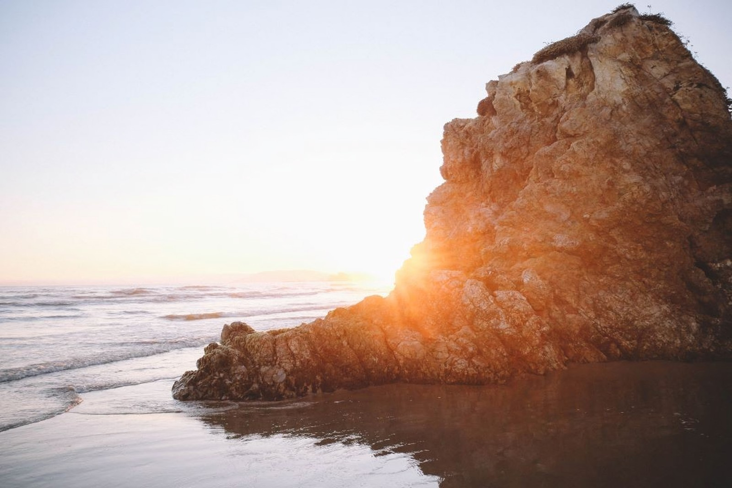 Coastal Pine Body Wash