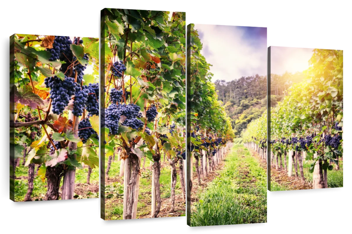 Autumn Vineyard Landscape Wall Art