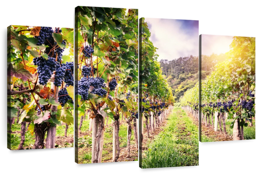 Autumn Vineyard Landscape Wall Art