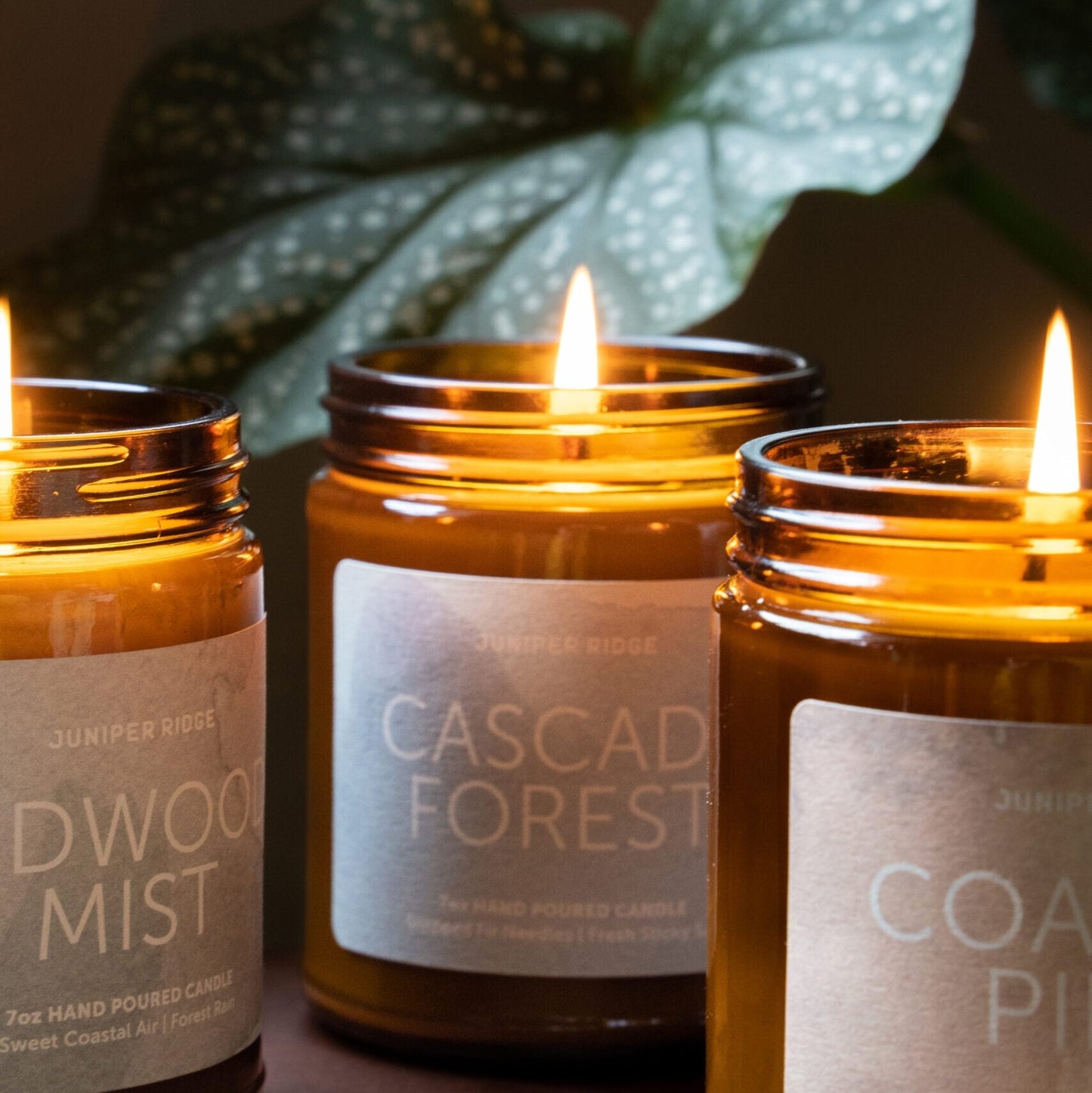 Cascade Forest Essential Oil Candle