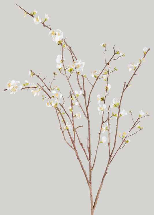 Faux Quince Blossom Branch in Cream - 54"