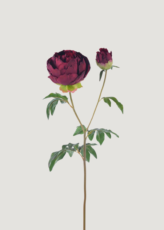 Burgundy Real Touch Peony - 27"