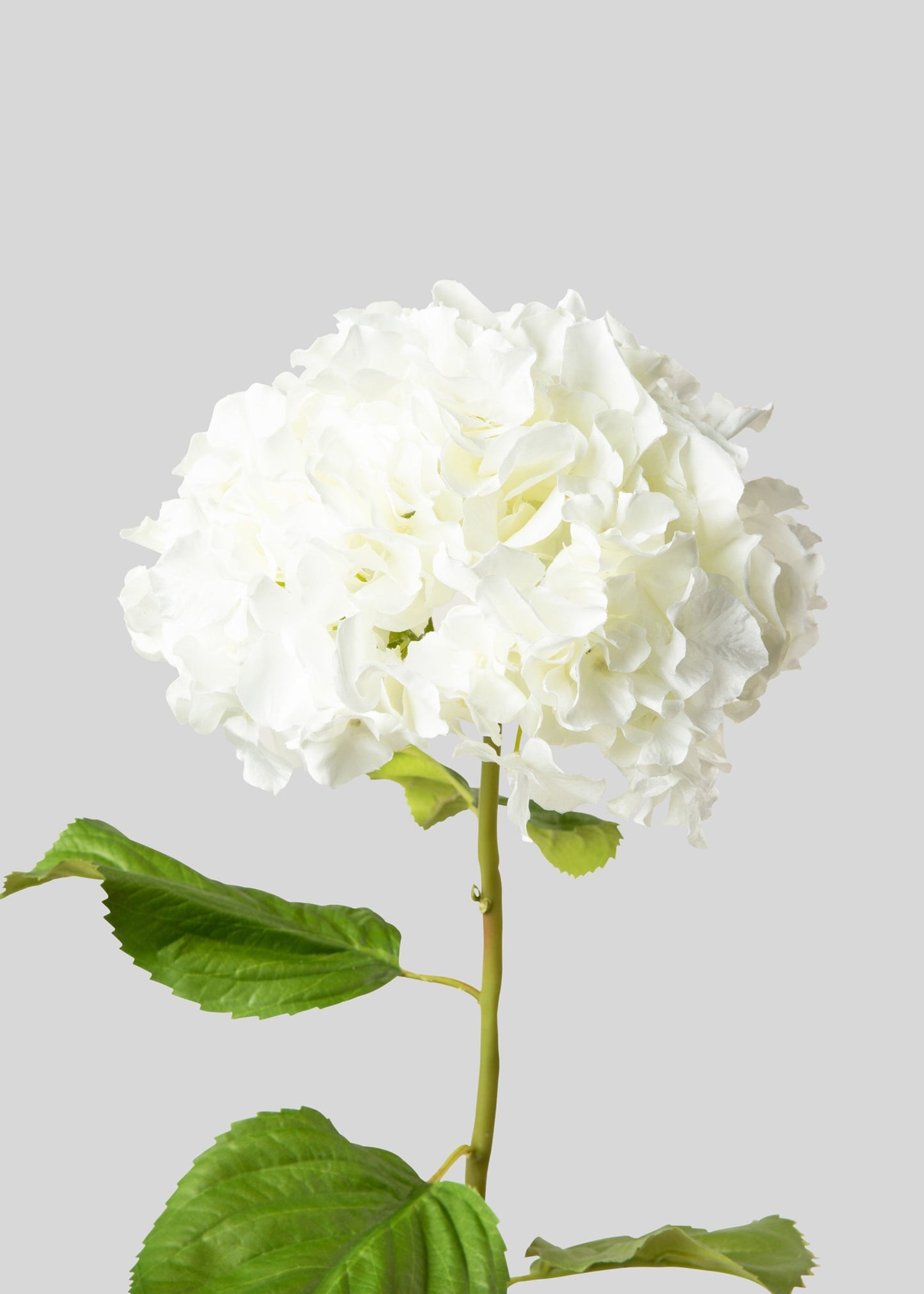 Tall Hydrangea Faux Flower in White - 45"