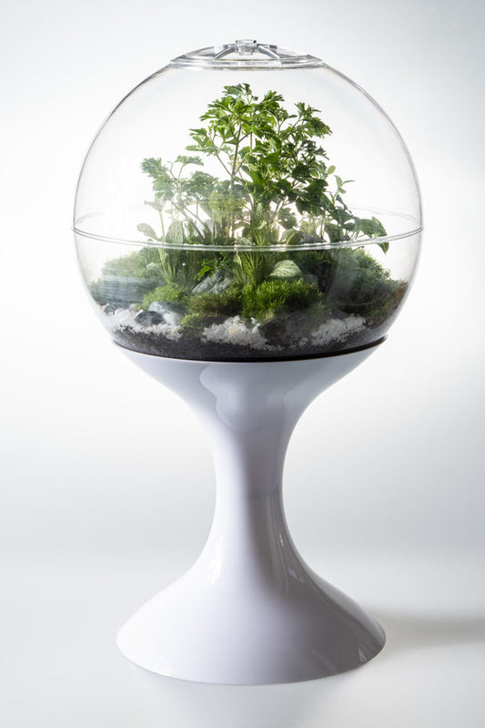 Atomic Space Age Terrarium