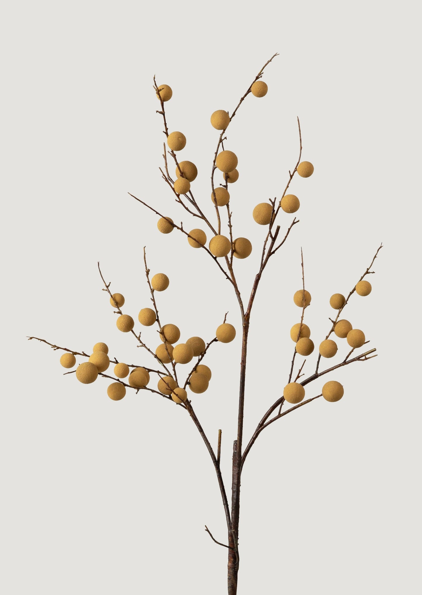 Faux Tropical Longan Fruit Branch - 39"