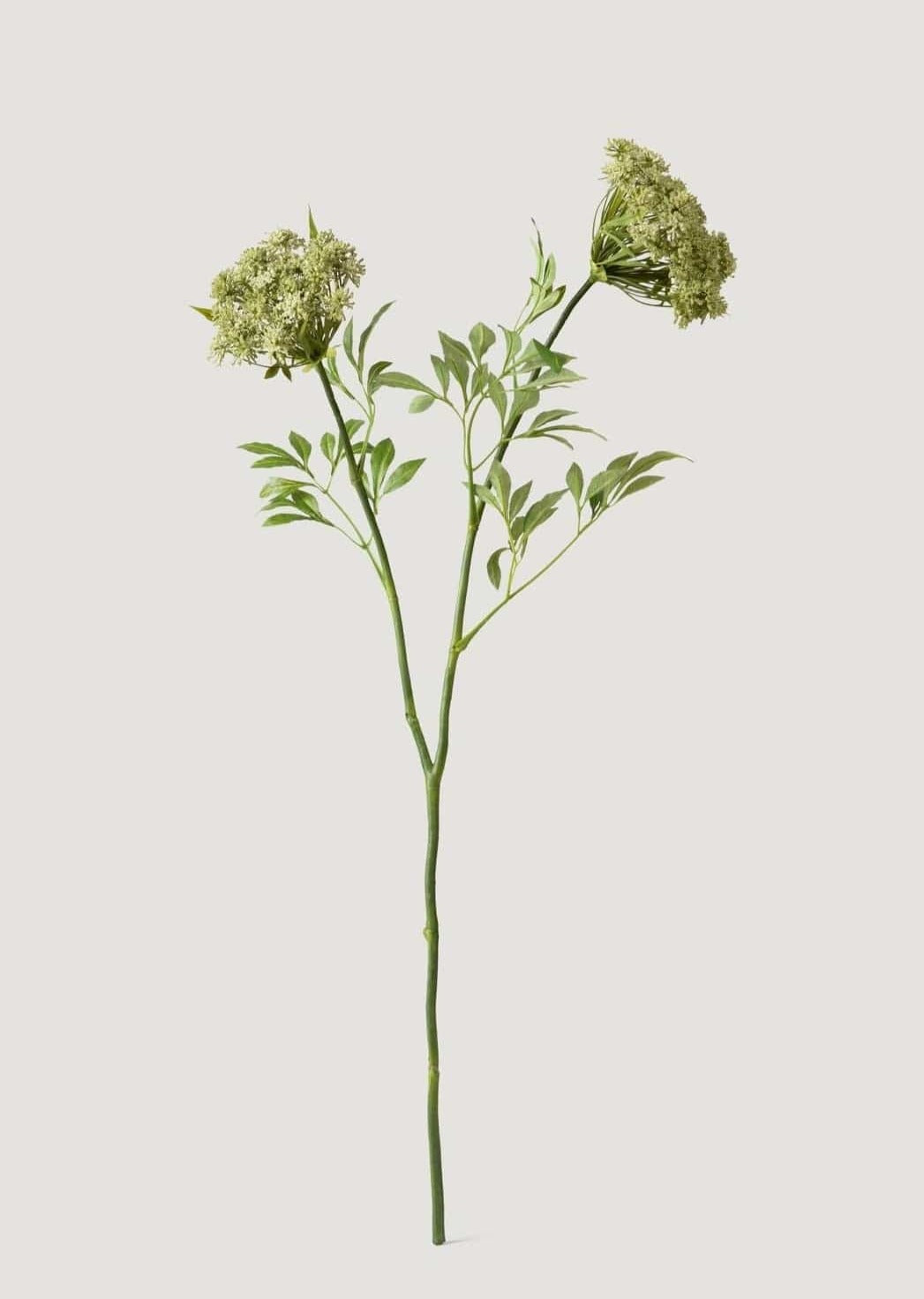 Faux Queen Anne's Lace Wildflowers - 36"