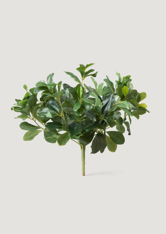 Natural Touch Artificial Wax Privet Leaf Plant - 15"