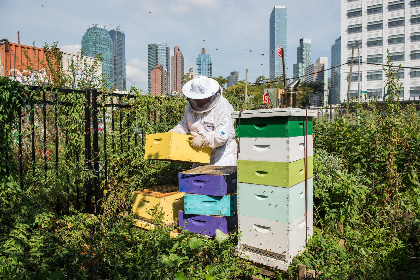 Urban Farmers