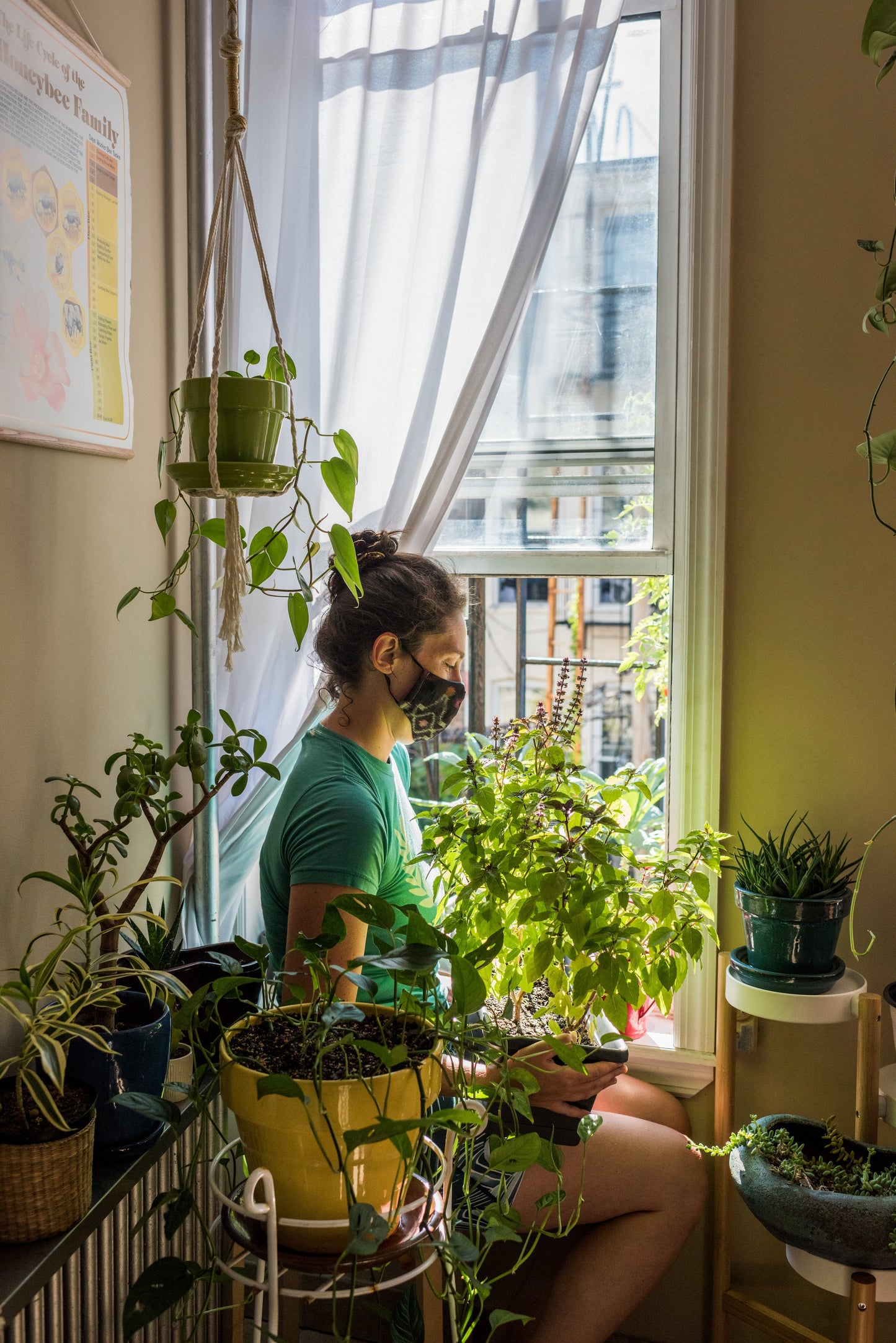 Urban Farmers