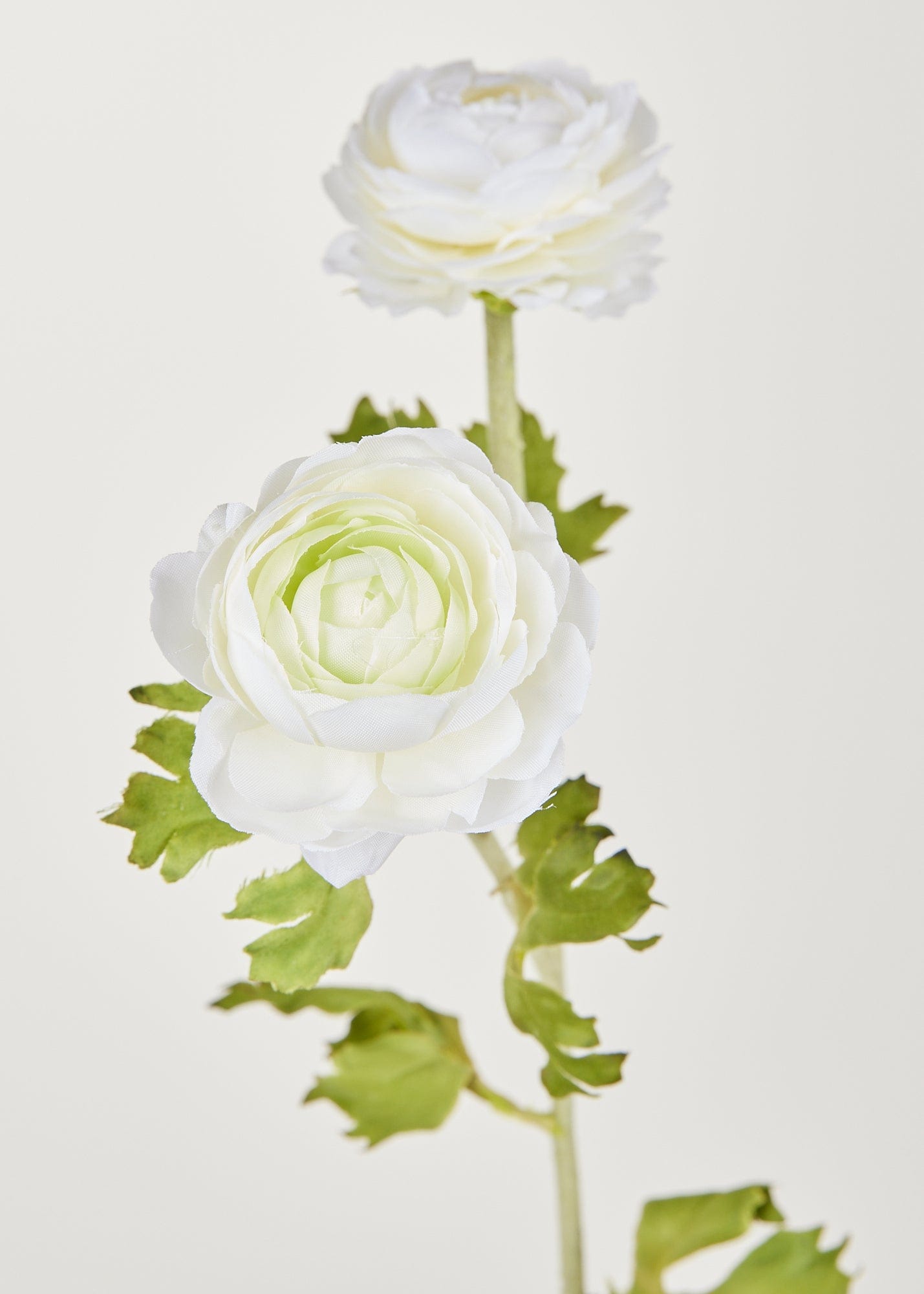 Artificial Ranunculus Flowers in White - 30"