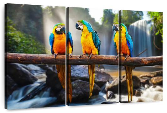 Macaw Friends Wall Art