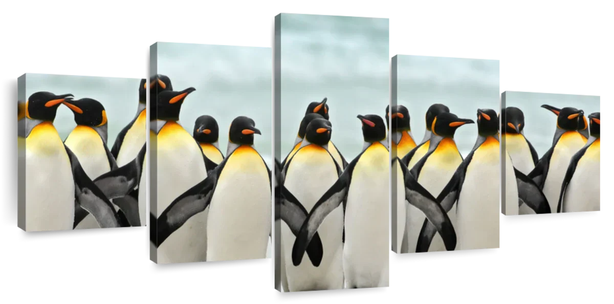 Waddle Of Penguins Wall Art