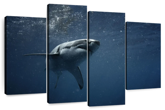 Great White Shark Wall Art