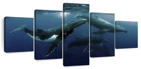 Humpback Whales Wall Art