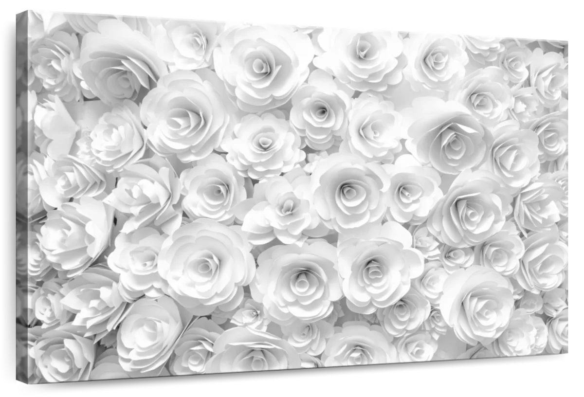 White Roses Wall Art