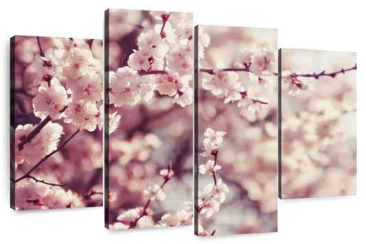 Delicate Cherry Blossoms Wall Art