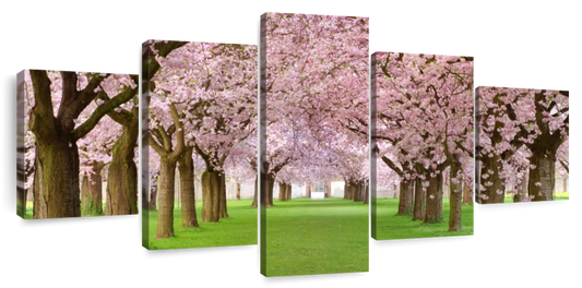 Cherry Blossom Trees Wall Art