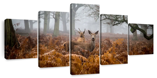 Richmond Park Deer Wall Art