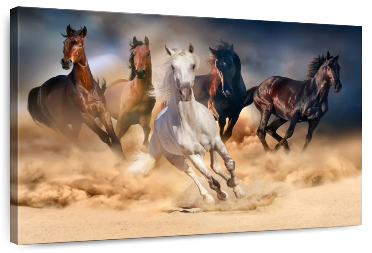 Running Herd Of Horses Wall Art