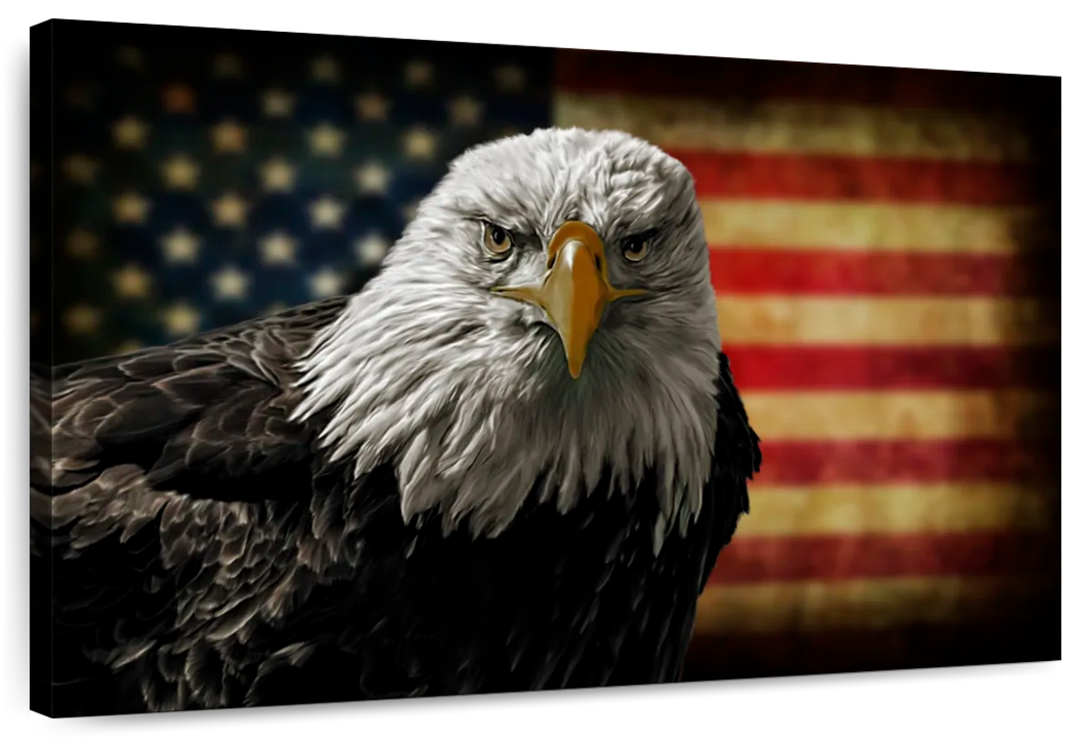 Eagle And Flag Of America Wall Art