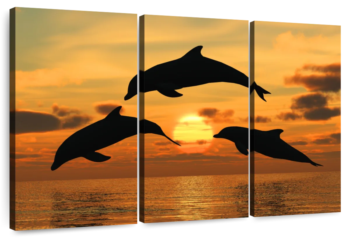 Flying Dolphins Wall Art