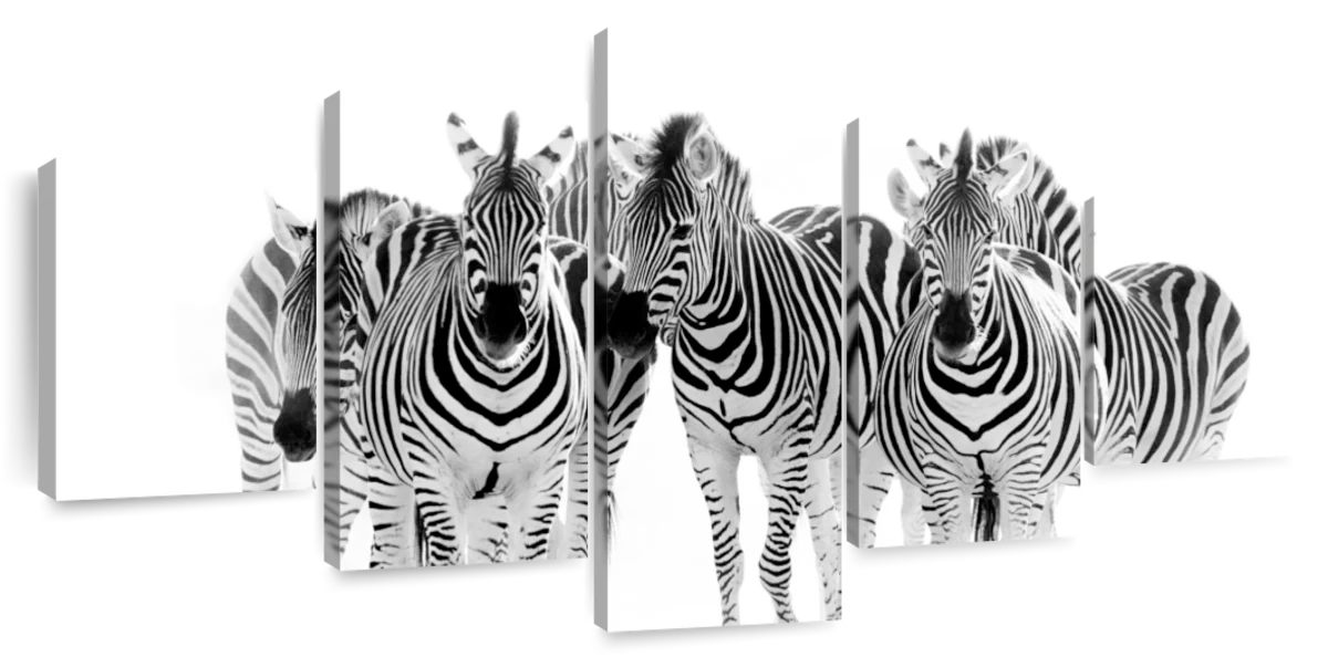 Zebras On The Move Wall Art