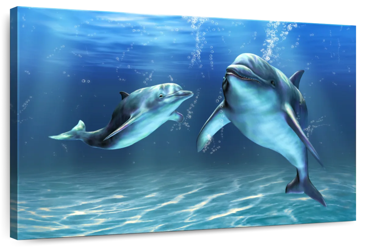 Dolphins Wall Art