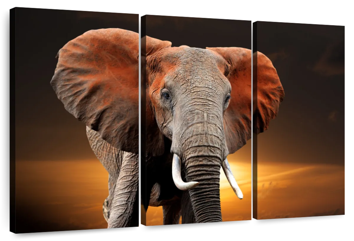 Kenyan Elephant Wall Art