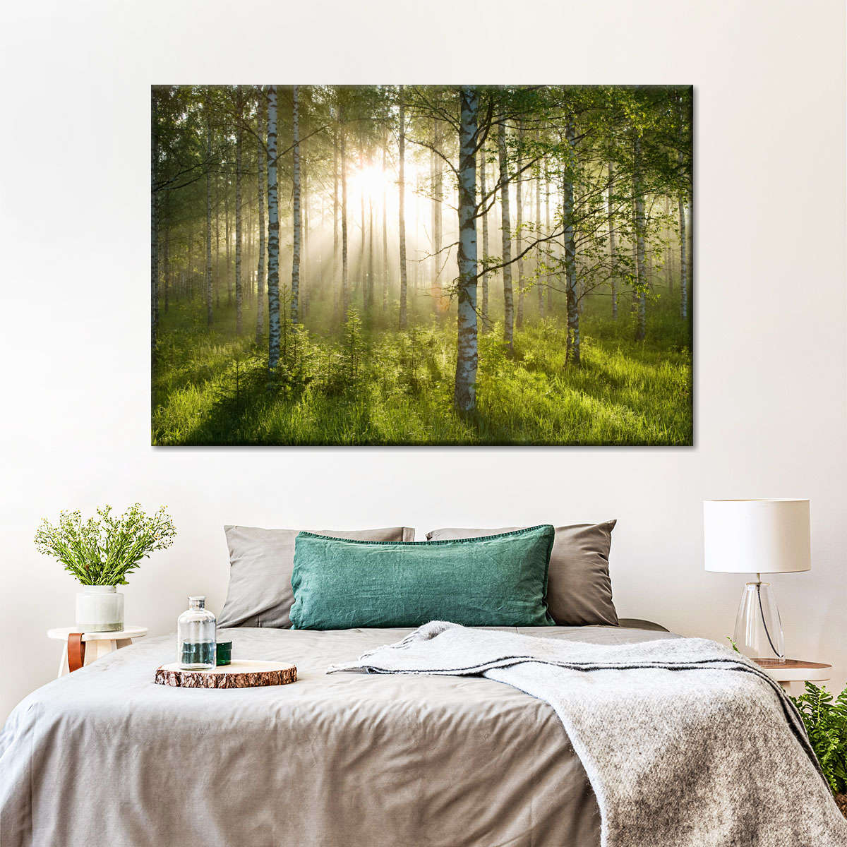 Birch Forest Sunlight Wall Art