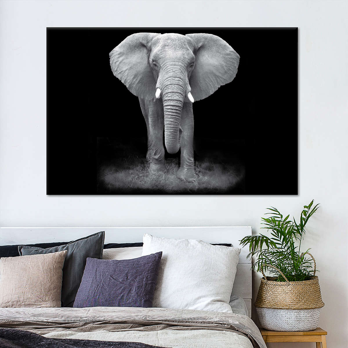 Elephant Zone Wall Art