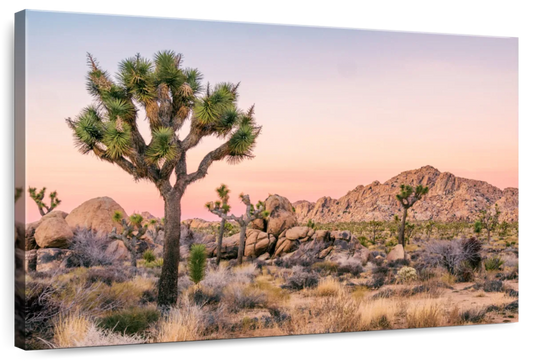 Joshua Tree Patch Wall Art