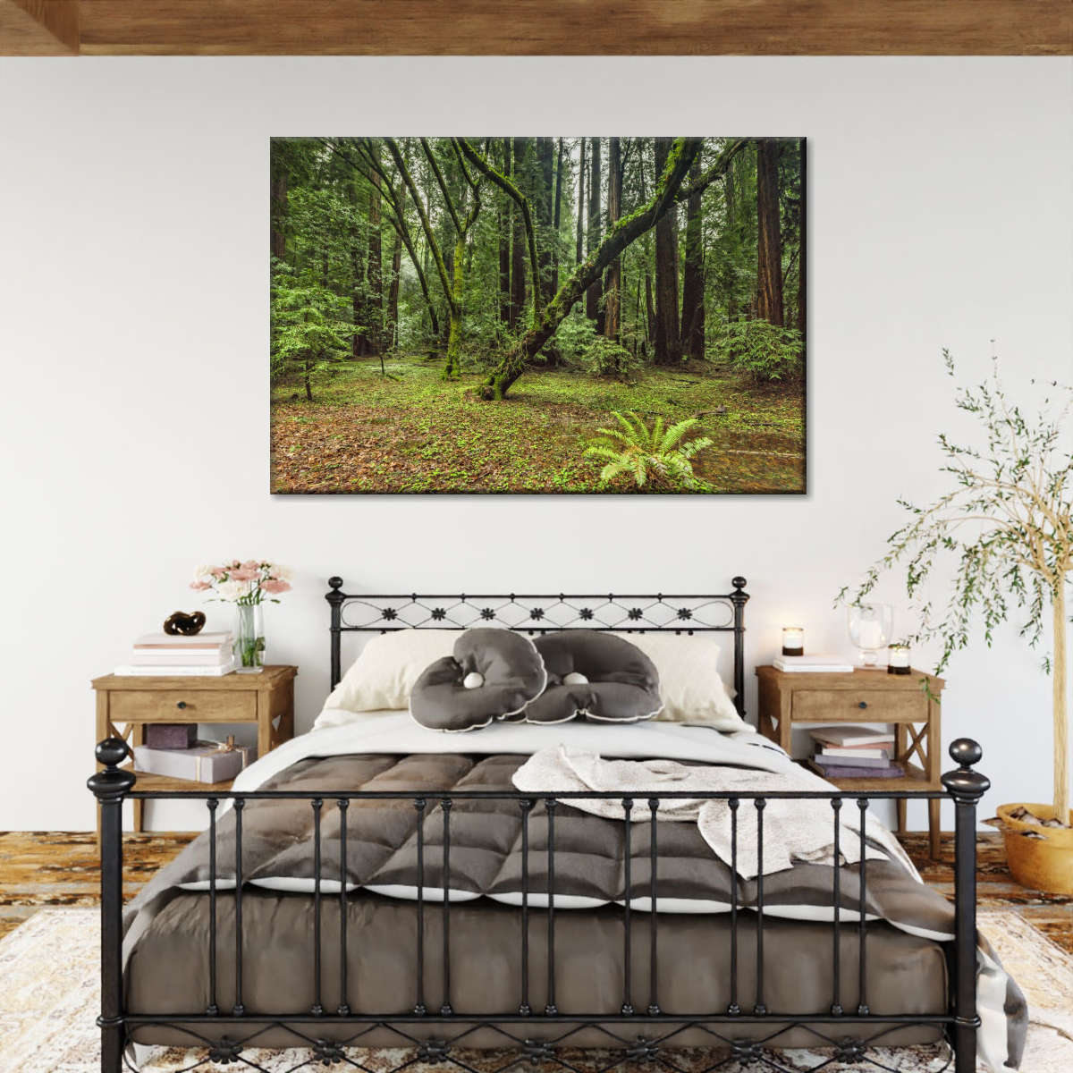 Muir Woods Forest Wall Art